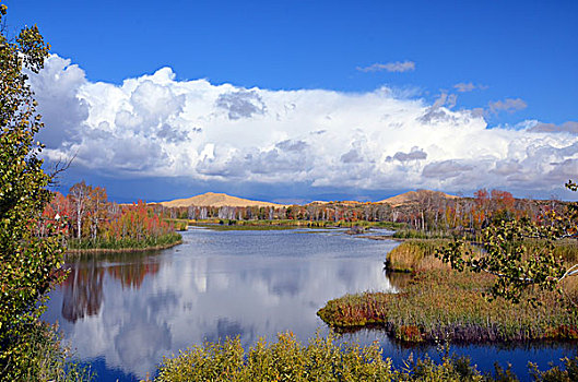新疆,喀纳斯,湖泊,高原,环境,洁净,原始,景点,旅游,风景,地理,奇特