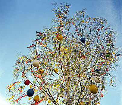 桦树,复活节彩蛋