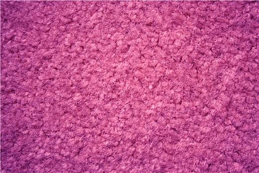 紫色,地毯,背景