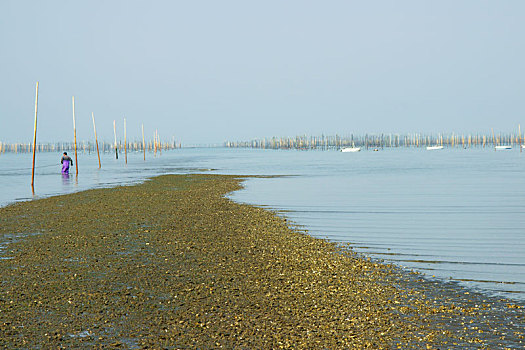 海洋,退潮