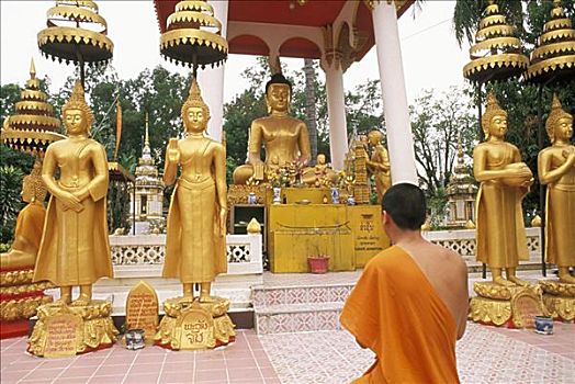 老挝,万象,庙宇,僧侣,跪着,正面,金色,佛