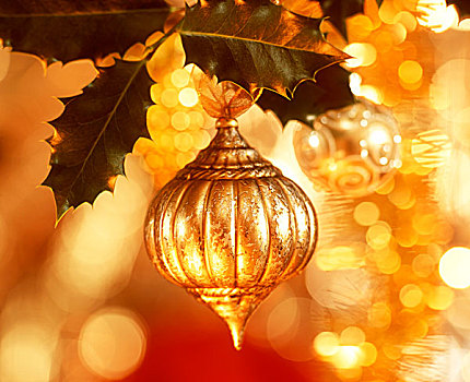 黄金,圣诞树饰,嫩枝,乔木
