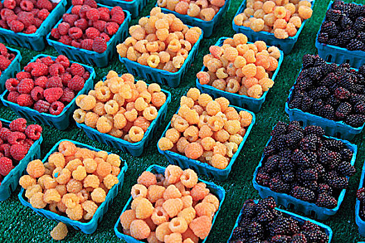 加拿大,安大略省,多伦多,市场,树莓,黑莓