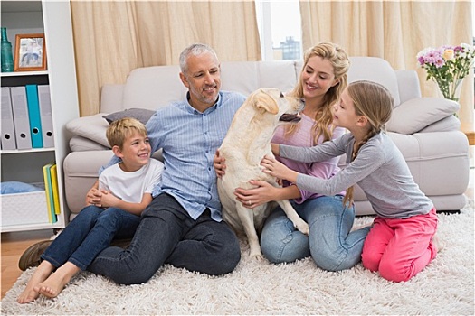 父母,孩子,地毯,拉布拉多犬