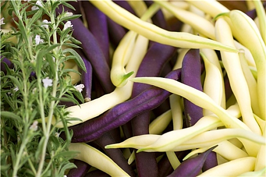 紫色,黄色,豆,开胃菜,特写