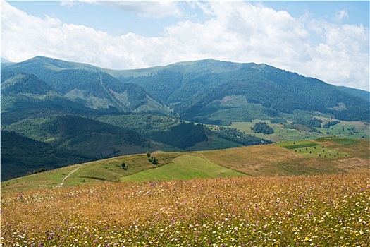 风景,乌克兰,喀尔巴阡山脉