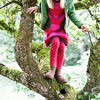 女孩,攀登,树