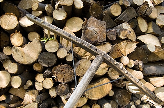 一堆,木头,原木,耙子