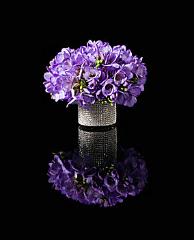 花束,紫色,小苍兰属植物,闪光,花瓶