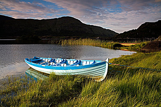 划桨船,湖岸,湖,基拉尼国家公园,凯瑞郡,爱尔兰