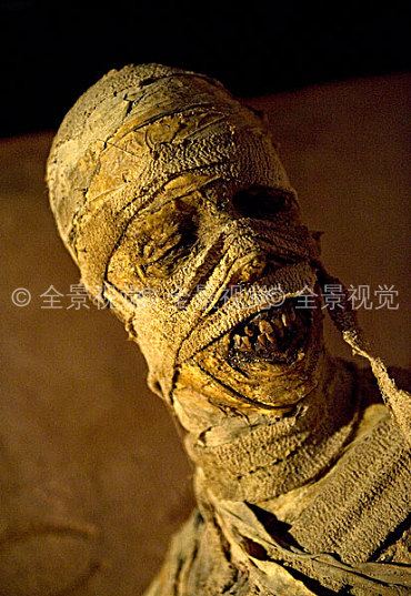 木乃伊图片_木乃伊高清图片_全景视觉