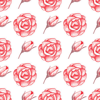 水彩,无缝,图案,红玫瑰,白色背景
