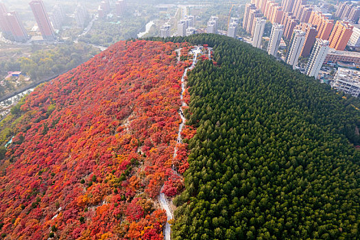 航拍济南蝎子山秋色