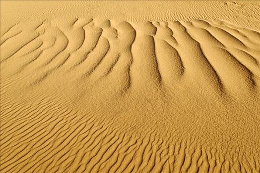波纹,沙丘,沙漠,锡,阿尔及利亚,撒哈拉沙漠,北非,非洲