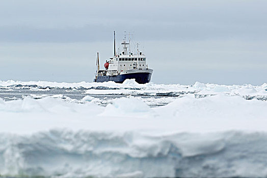 探险,研究,船,浮冰,南大洋,英里,北方,东方,南极