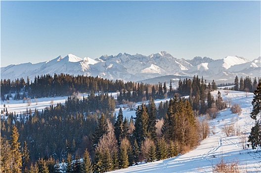 冬季风景,山