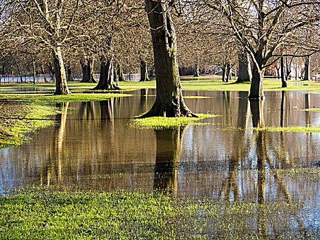 洪水,泰晤士河,溢出,上方,大学,草地,牛津