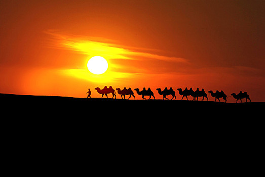 夕阳下的沙漠驼队图片图片