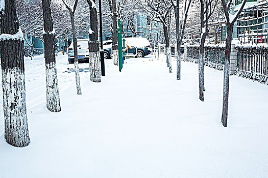 小区雪景