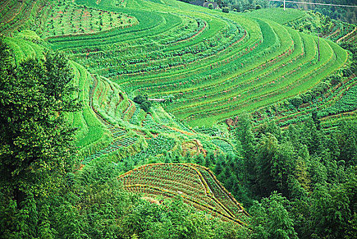 大山里的田园春色