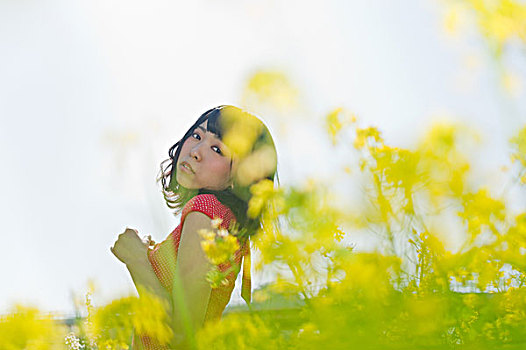 油菜花,地点,女人