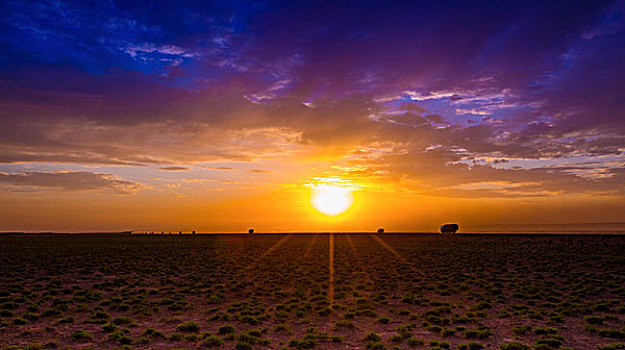 大漠夕阳下的车队