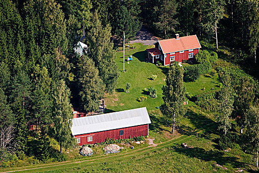 红房,树林,瑞典
