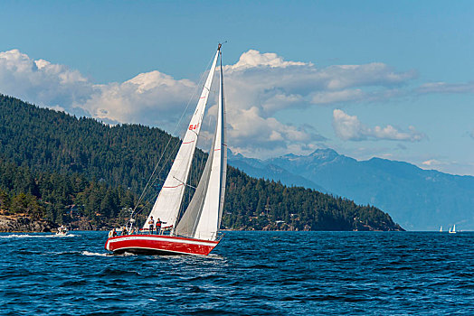 帆船,海洋,声音,靠近,温哥华,不列颠哥伦比亚省,加拿大,北美