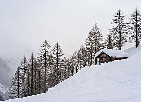 山谷,冬天,山,小屋,大雪,奥地利,一月,大幅,尺寸