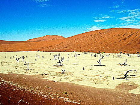 纳米比亚,纳米布沙漠,纳米比诺克陆夫国家公园,死亡谷,大,妈妈,沙丘