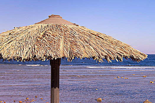 沙滩伞,埃及,非洲