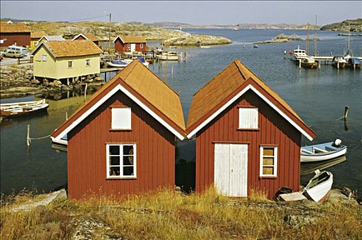 瑞典,岛屿,房子,海边