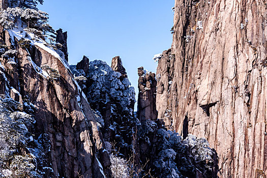 中国安徽黄山风景区,冬日雪后奇峰怪石林立,云雾飘渺宛若仙境