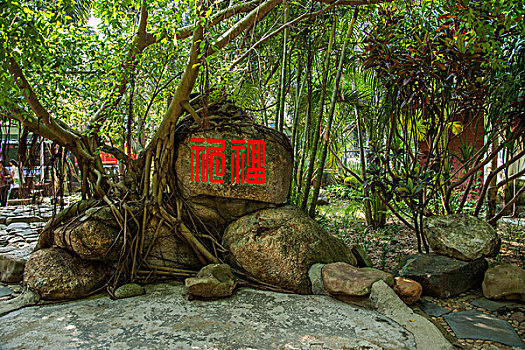 海南兴隆南国热带雨林游览区祝福石