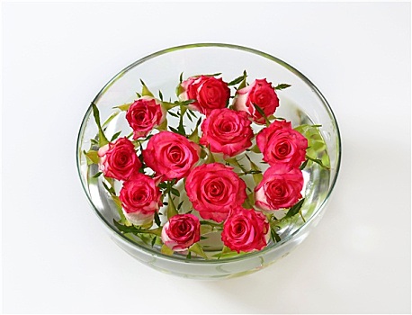 玻璃碗,玫瑰