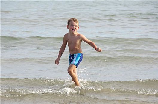 男孩,跑,海滩,水,威尼托,意大利