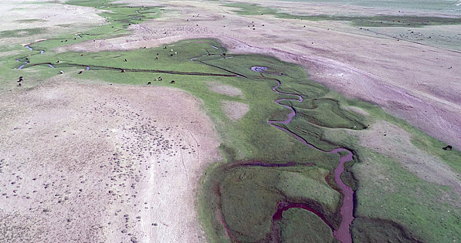 新疆哈密,美丽的沙漠河曲湿地