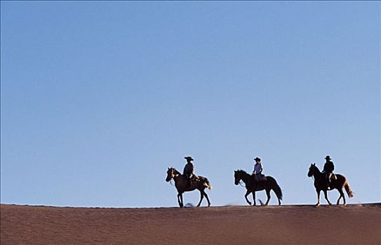 智利,阿塔卡马沙漠,骑马