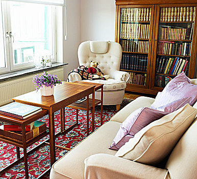 沙发,扶手椅,老式,书架,客厅