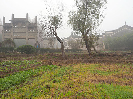 歙县棠樾牌坊群风景