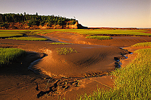 小湾,沿岸,自然保护区,加拿大