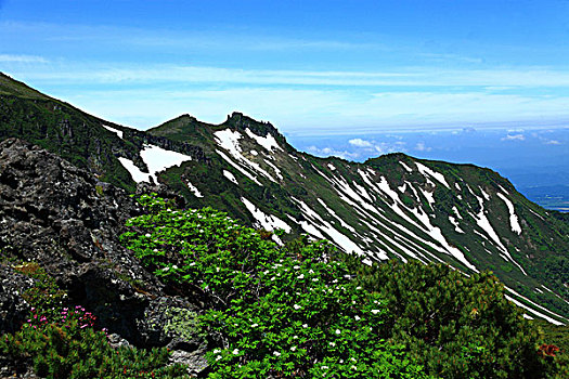 山,嫩绿色