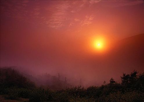 日落,靠近,鲑鱼,河,格罗莫讷国家公园,纽芬兰,拉布拉多犬,加拿大