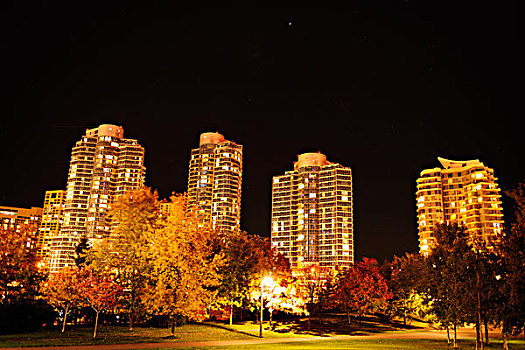 明亮,照亮,建筑,夜晚,多伦多,安大略省,加拿大