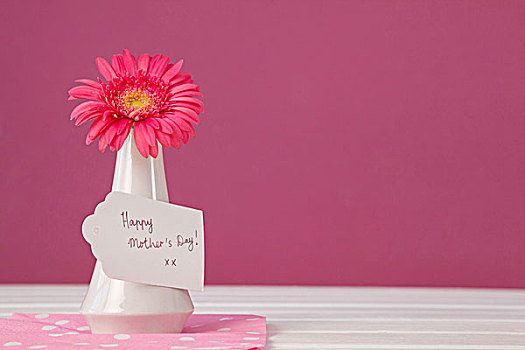 高兴,母亲节,卡,花,花瓶,粉色背景