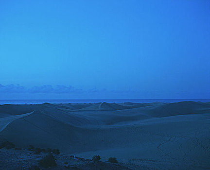 沙丘,黎明,加纳利群岛,岛屿,风景,自然,宽,沙子,早晨,彩色,蓝色,海洋,地平线