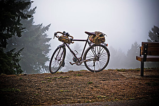 自行车,雾