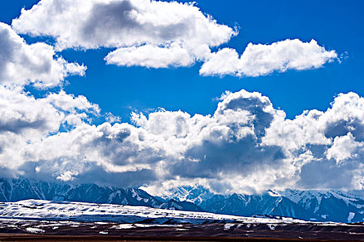 新疆,雪山,草地,蓝天,白云