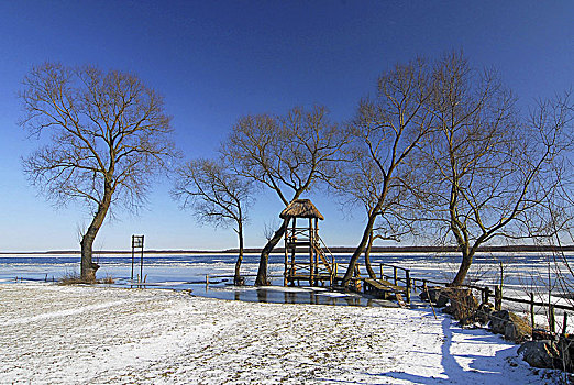 冬天,风景,河,雪中,国家公园,波兰