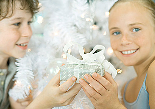 男孩,递给,姐妹,礼物,正面,圣诞树